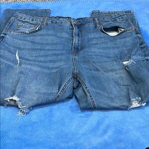 Wild Fable Distressed Jeans